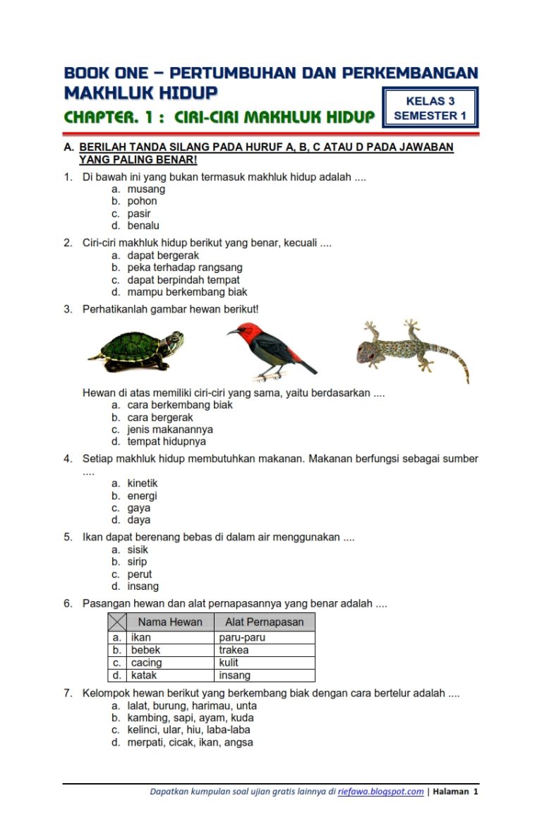 Mari kita buat artikel mengenai soal Tema 2 Kelas 3 SD Semester 1. Mari kita buat artikel mengenai soal Tema 2 Kelas 3 SD Semester 1.