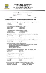 5 Contoh Soal HOTS MIPA SD Kelas 4 yang Wajib Dikuasai Sebelum Ujian Semester 2026