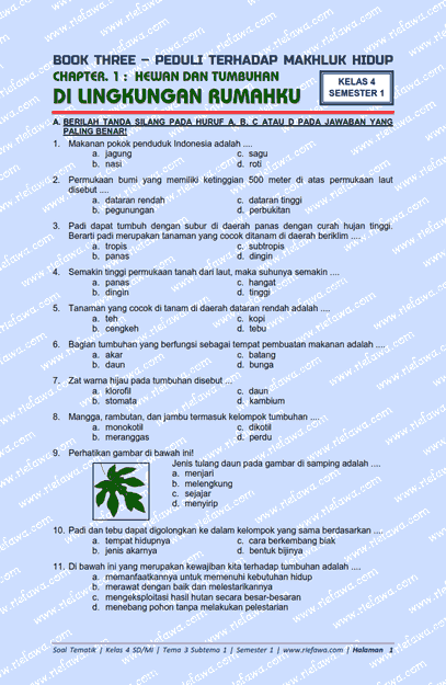 Kumpulan Soal Tematik Kelas 4 Tema 3 Paket 1 Terbaru 2026 yang Wajib Dilatih agar Nilai Ujian Naik Drastis