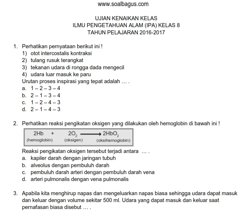 Rahasia Sukses Lulus dengan Nilai Tinggi Lewat Latihan Soal UKK Kelas 8 Semester 2